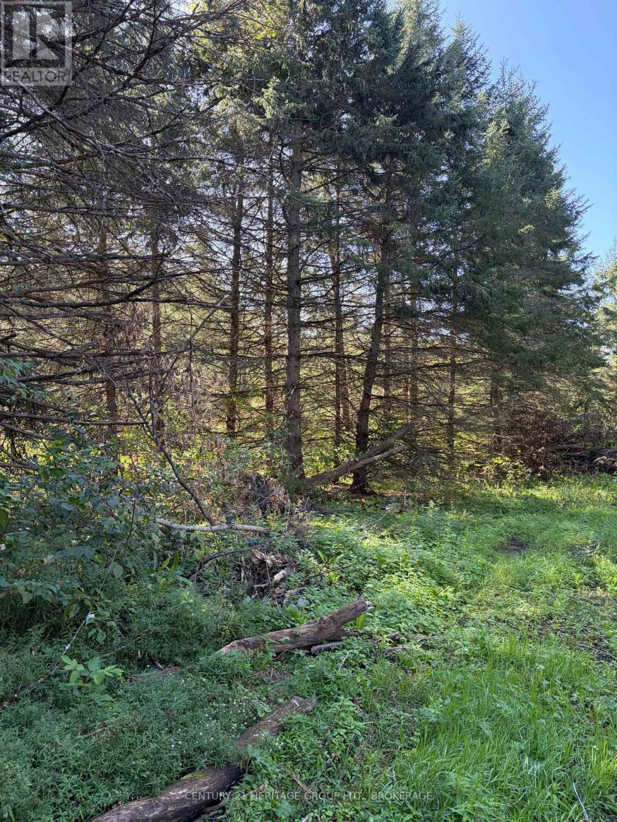 523 Lower Oak Leaf Road Property Photo 12