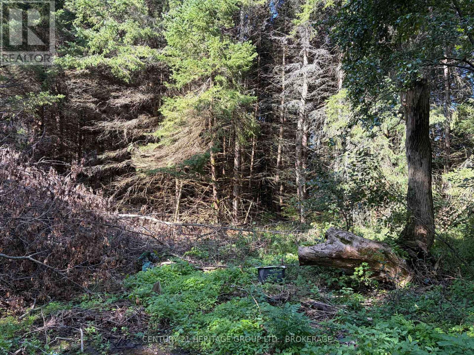 523 Lower Oak Leaf Road Property Photo 14