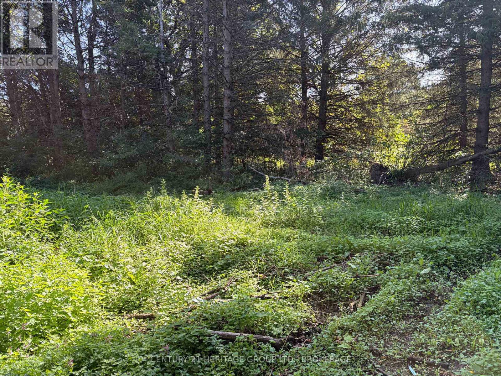 523 Lower Oak Leaf Road Property Photo 16
