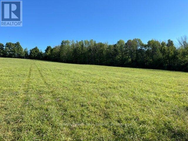 Pt Lt 8 7th Line Property Photo 2