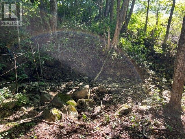 Pt Lt 8 7th Line Property Photo 6
