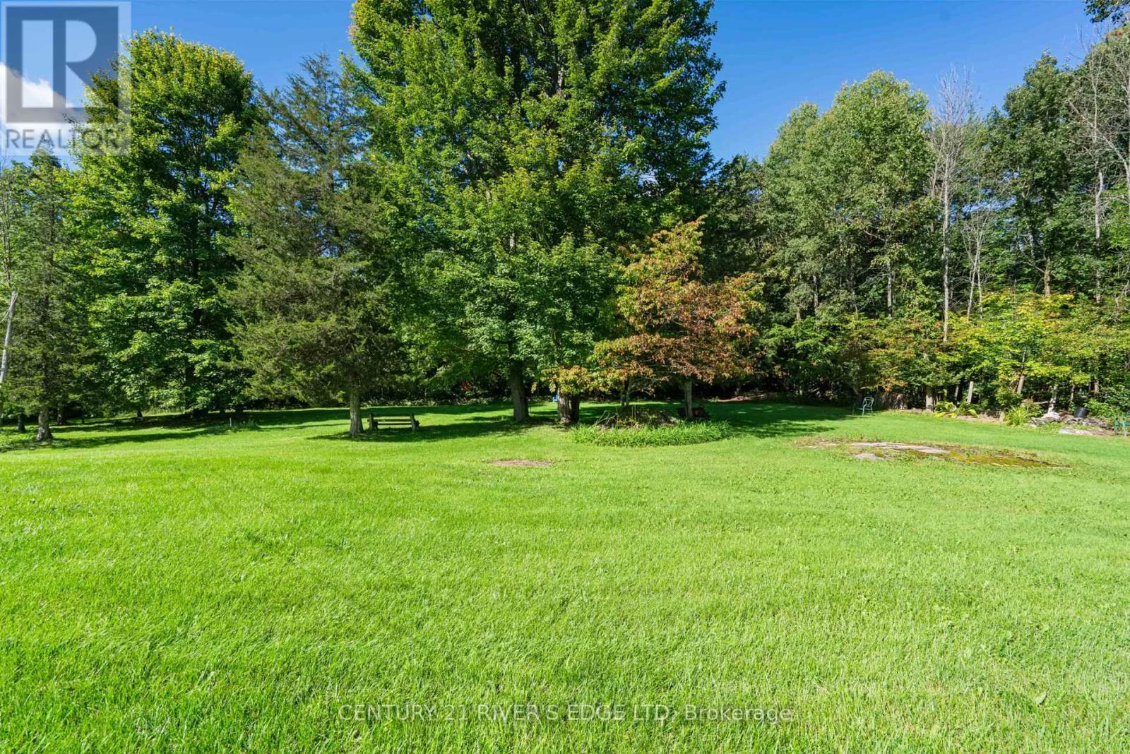 446 Beales Mills Road Property Photo 6