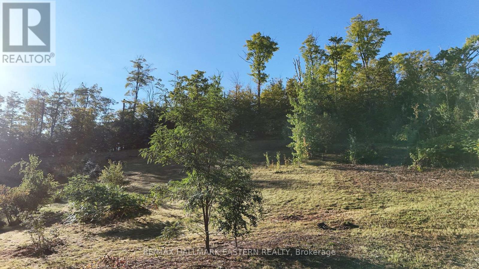 406 Country Lane Property Photo 15