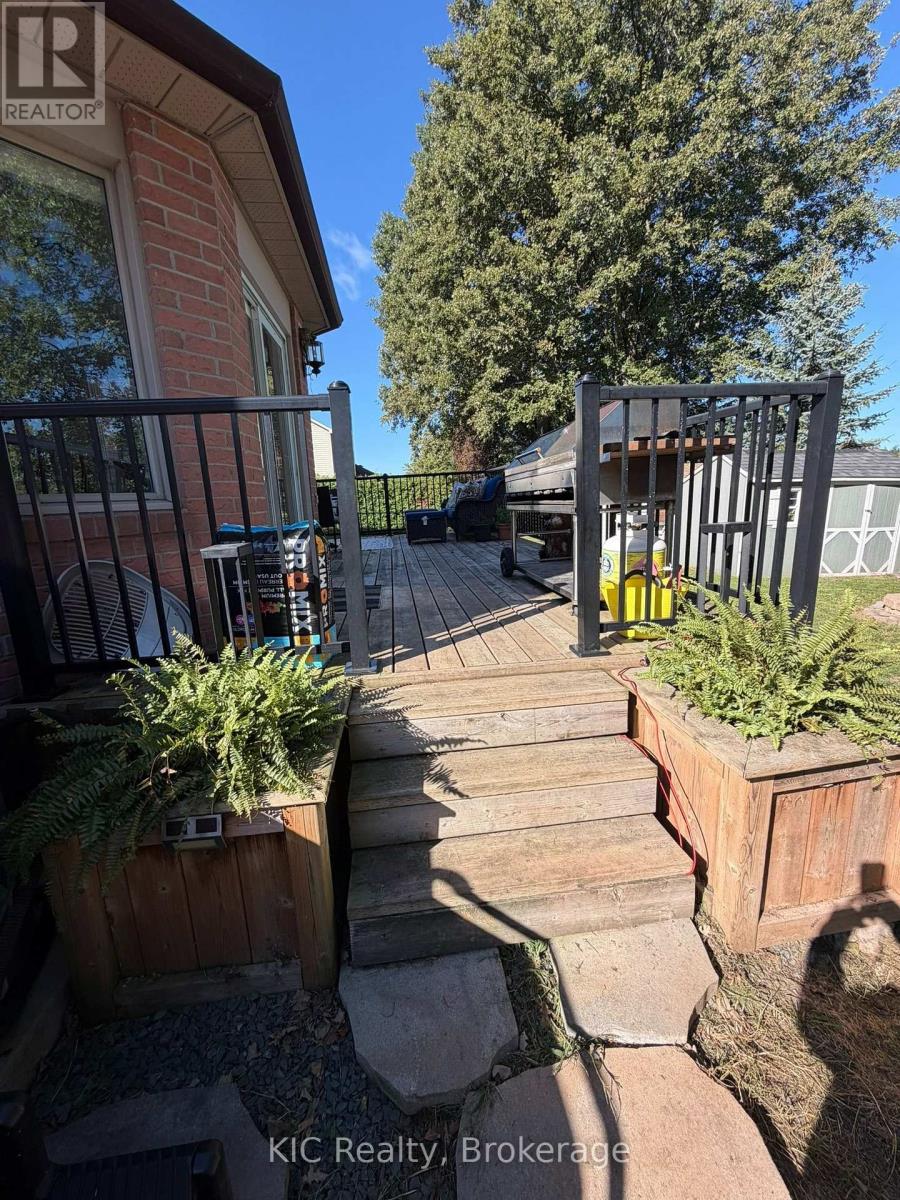 23 Maple Avenue Property Photo 22