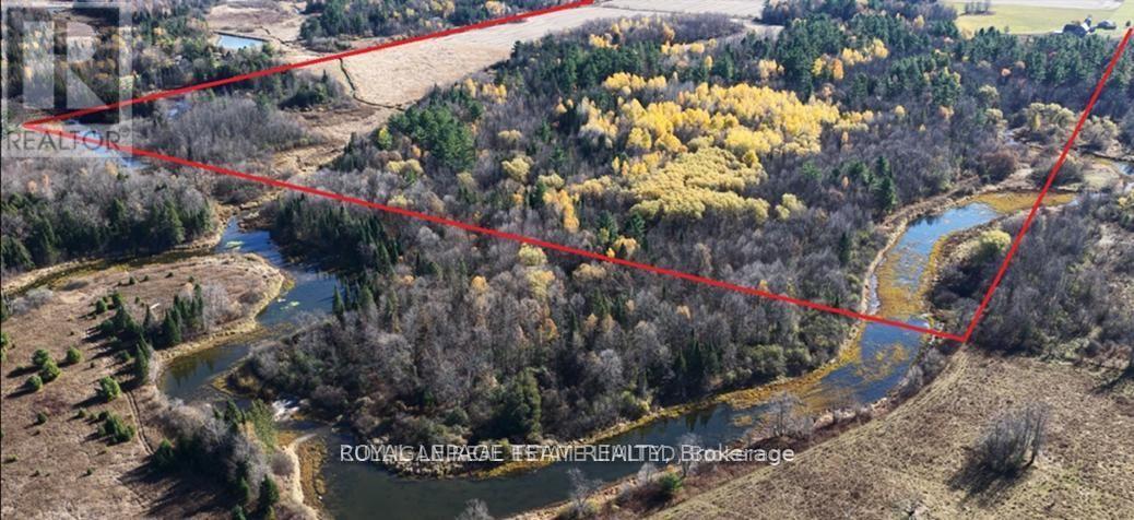 2315 Styles Side Road Property Photo 37