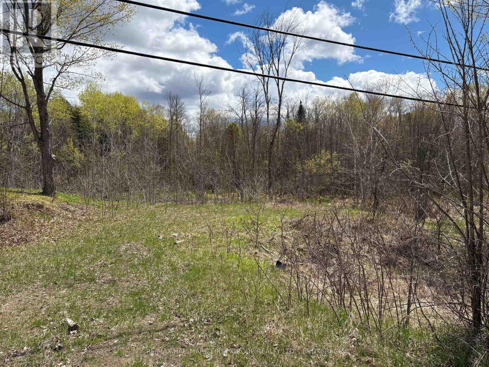 Lot 0 County Road 38 Property Photo 3
