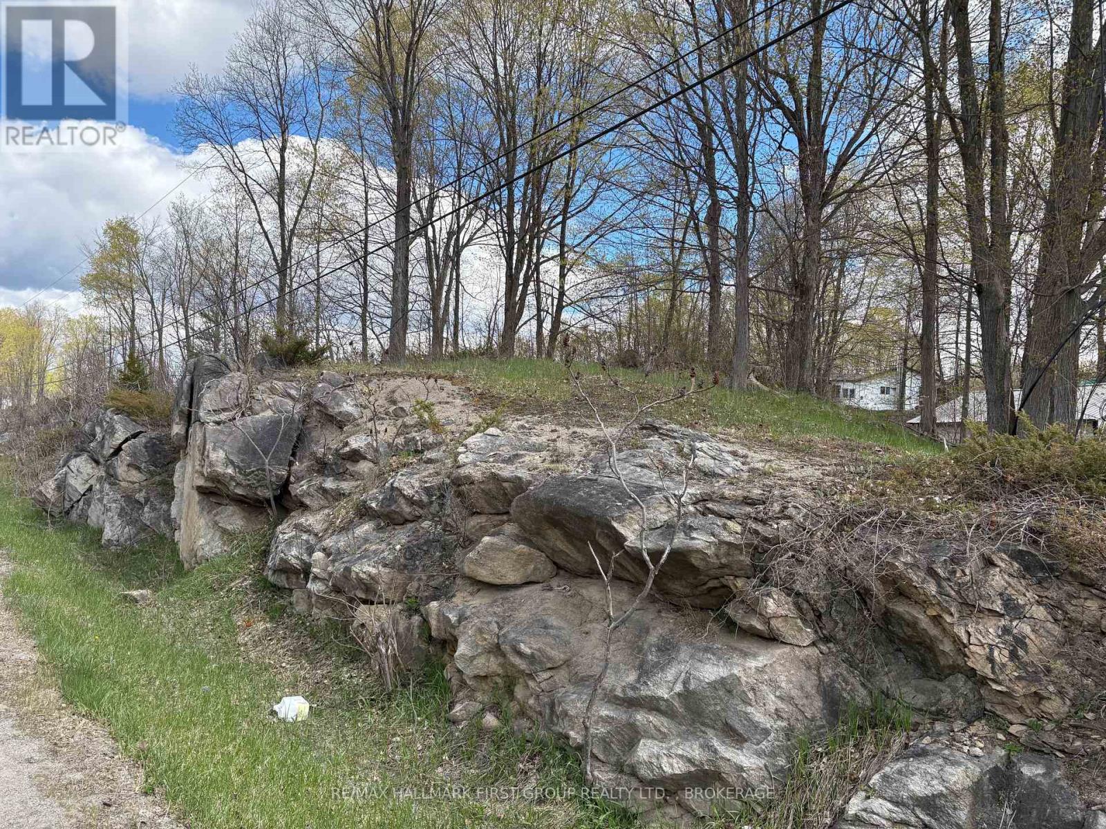 Lot 0 County Road 38 Property Photo 5