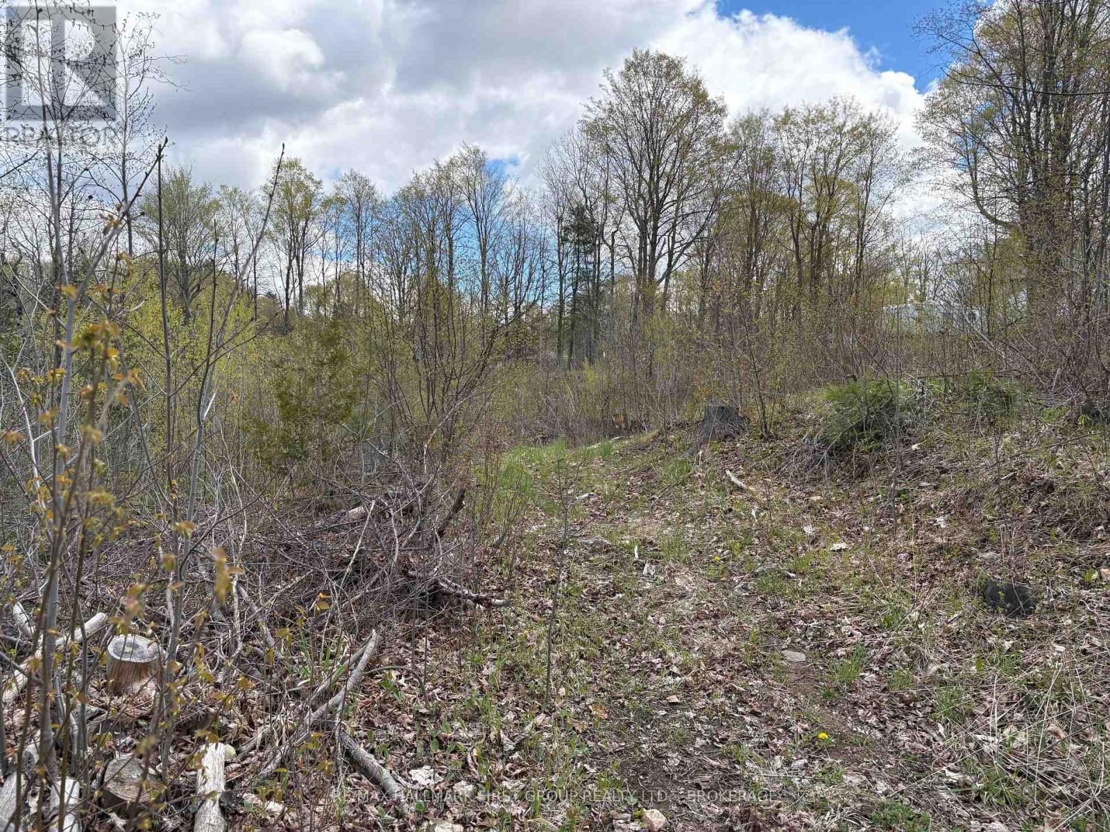 Lot 0 County Road 38 Property Photo 8