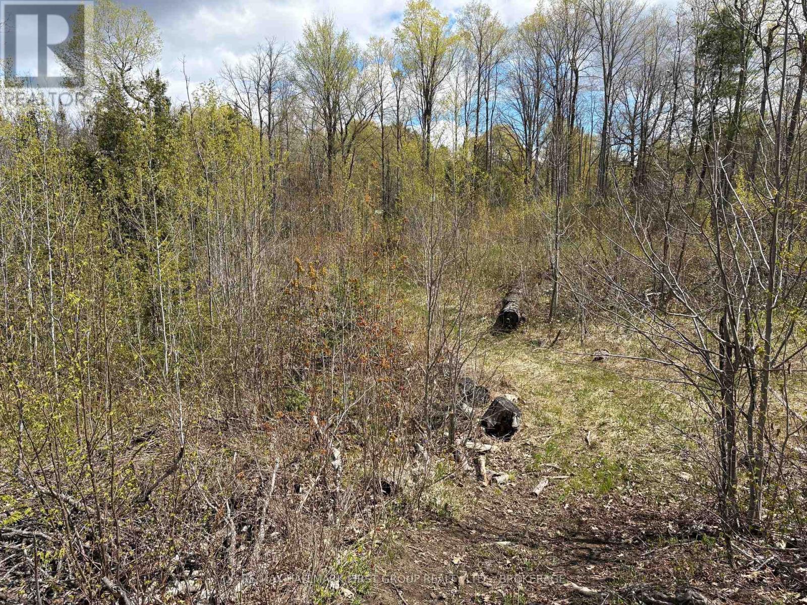 Lot 0 County Road 38 Property Photo 10