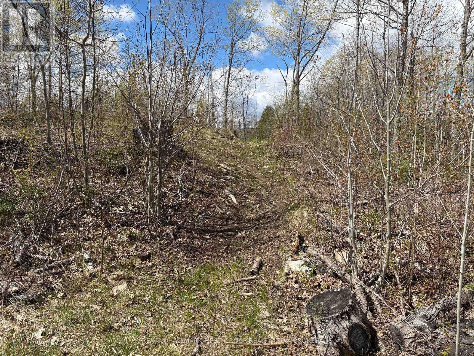 Lot 0 County Road 38 Property Photo 11