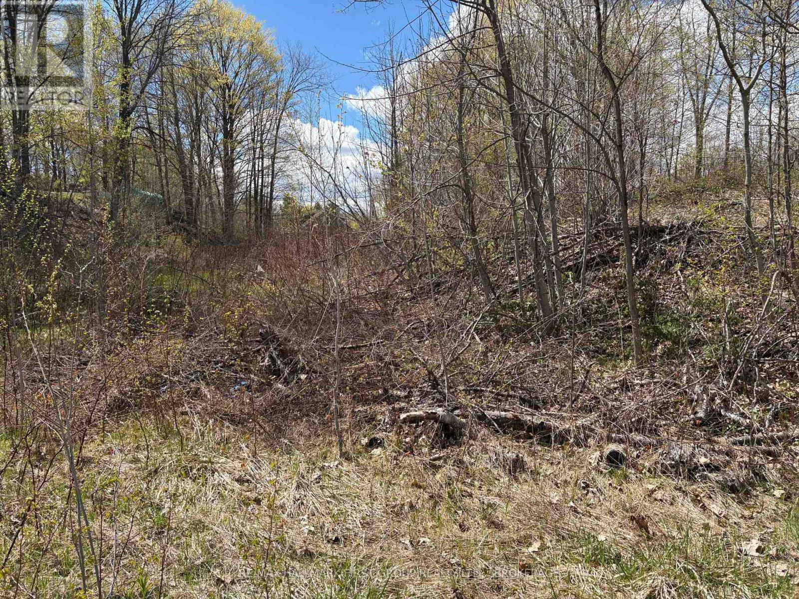 Lot 0 County Road 38 Property Photo 12