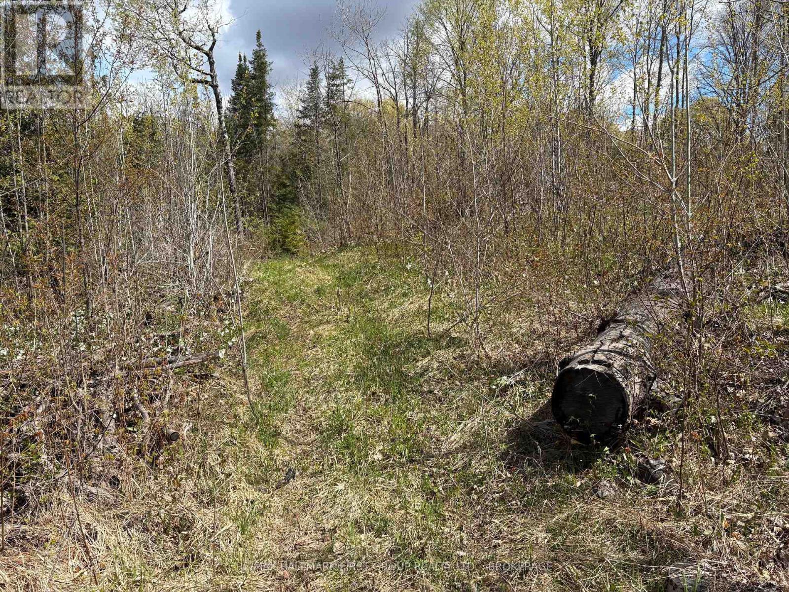 Lot 0 County Road 38 Property Photo 13