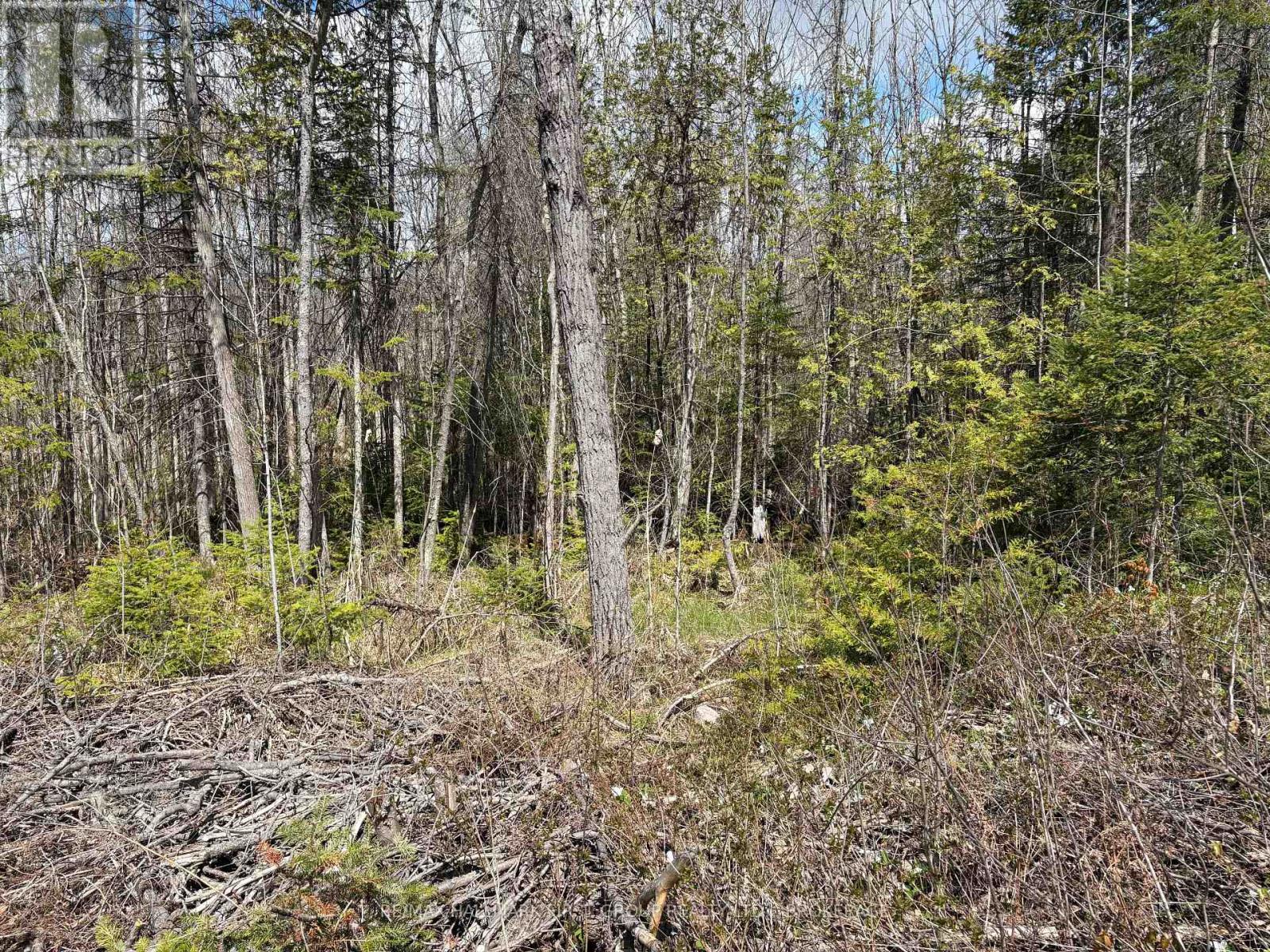 Lot 0 County Road 38 Property Photo 16