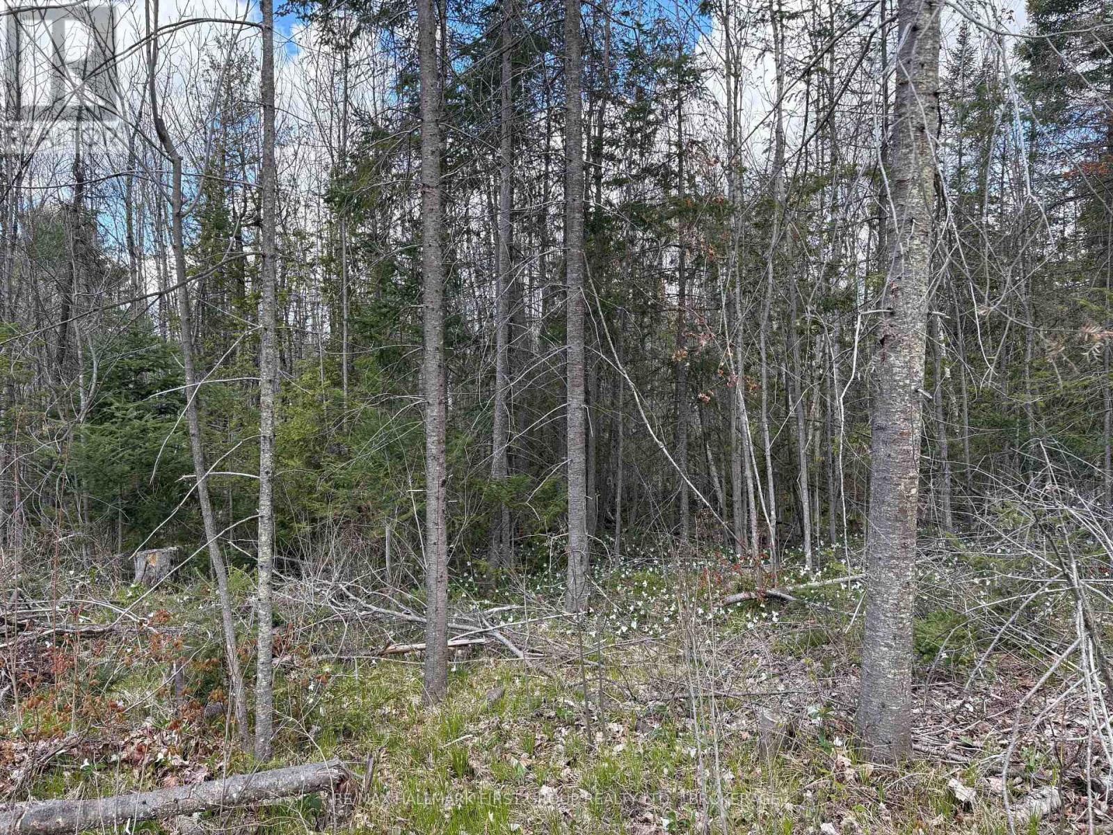 Lot 0 County Road 38 Property Photo 17