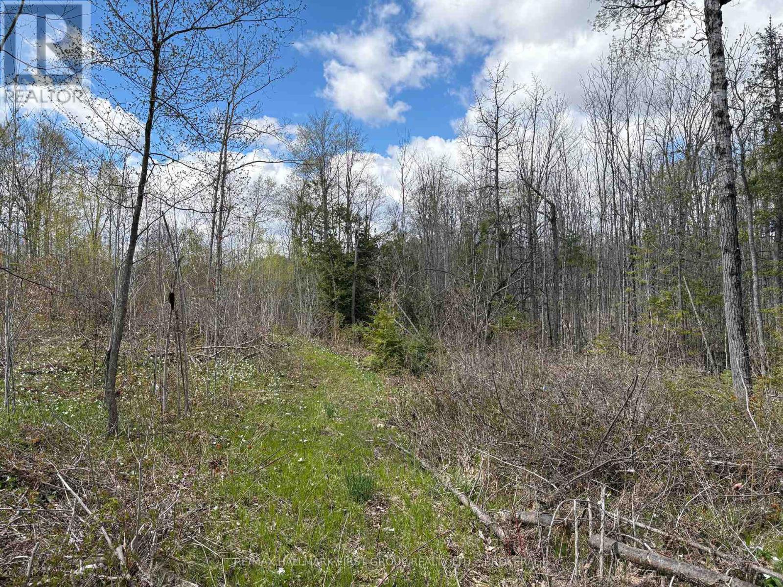 Lot 0 County Road 38 Property Photo 18