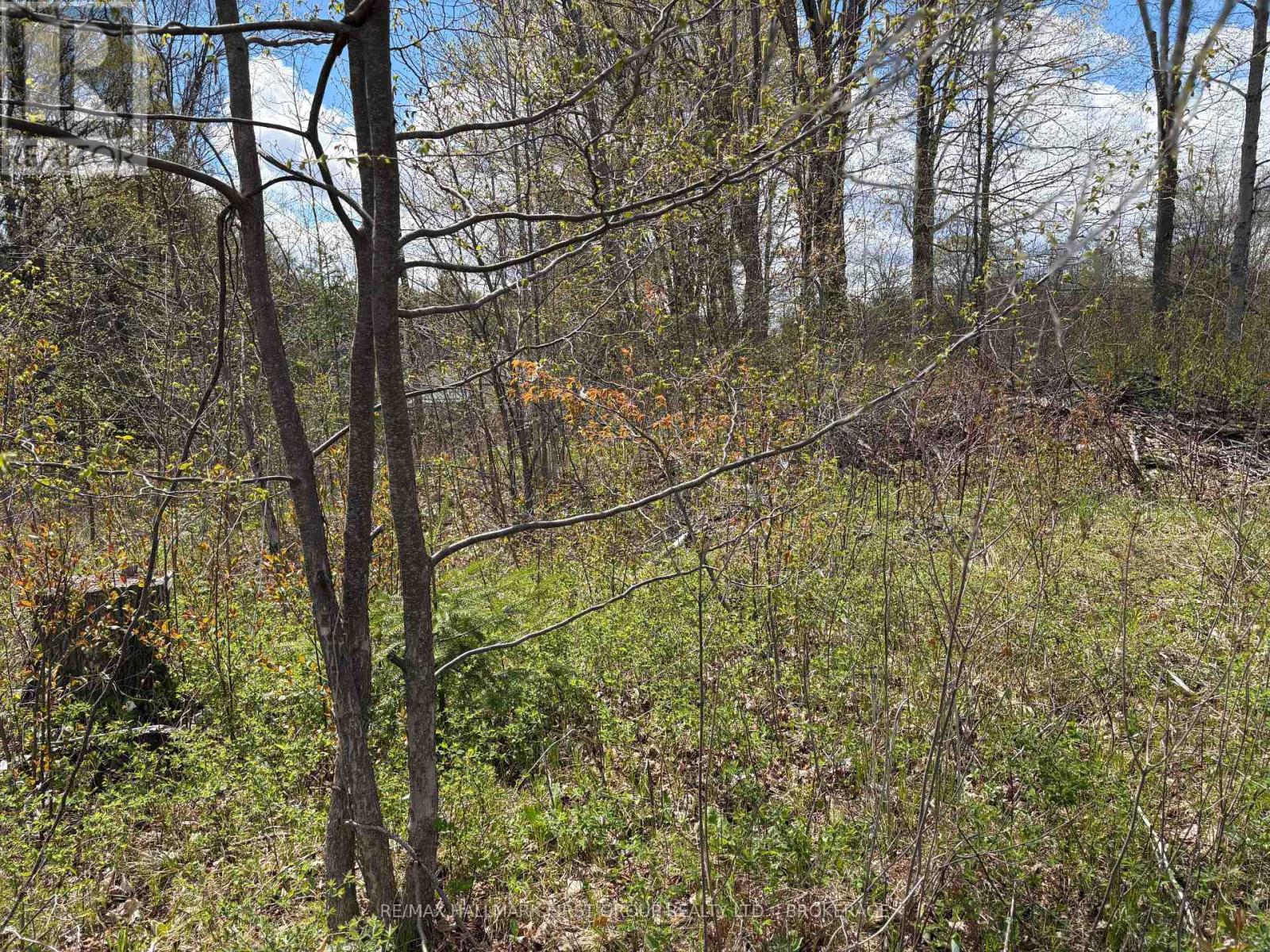 Lot 0 County Road 38 Property Photo 19