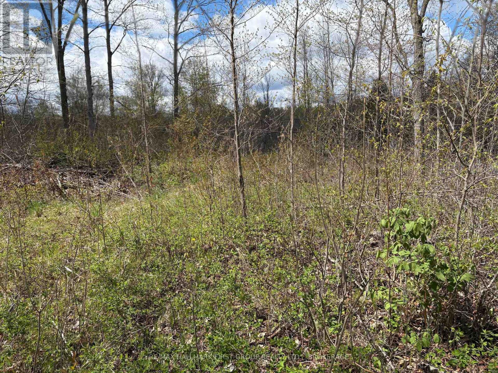 Lot 0 County Road 38 Property Photo 20