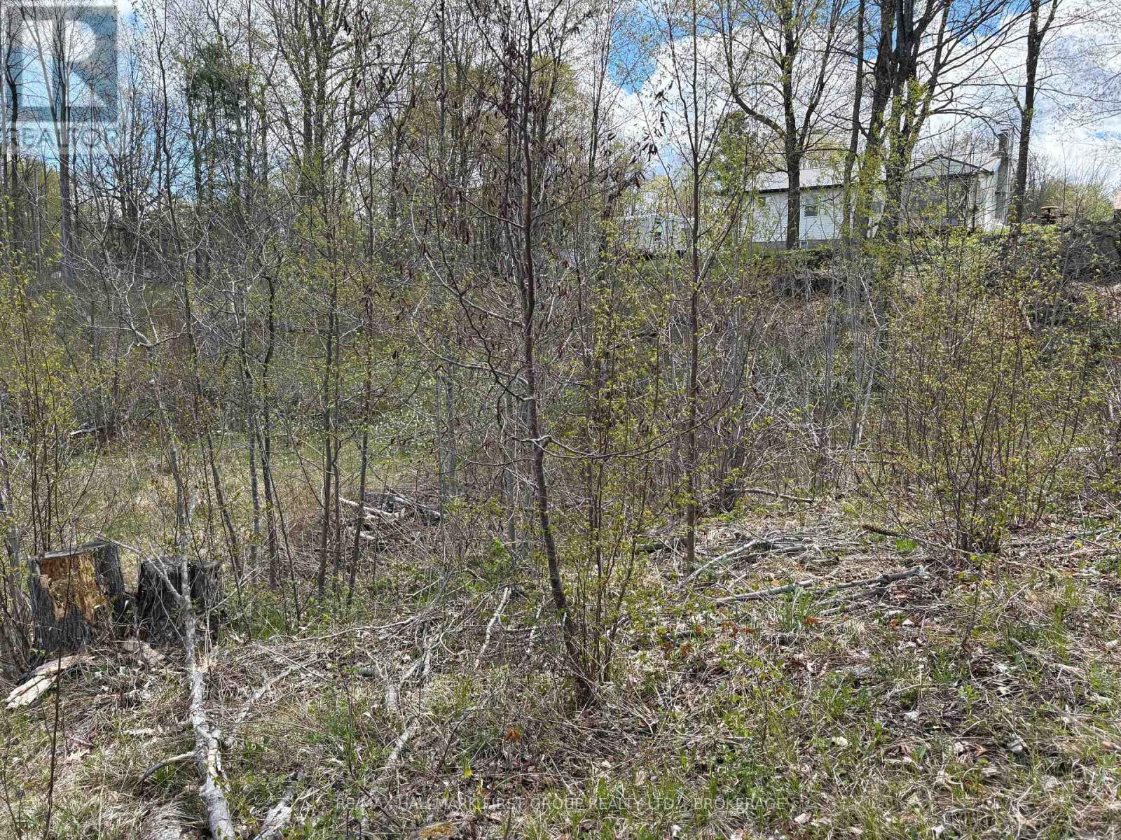 Lot 0 County Road 38 Property Photo 22