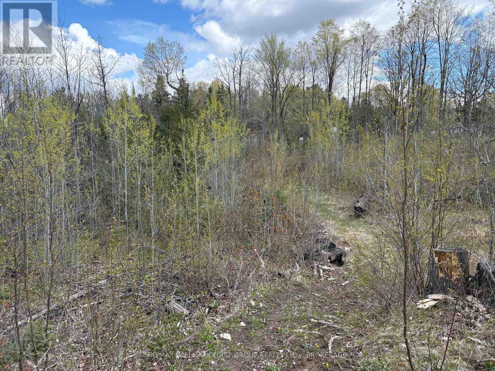 Lot 0 County Road 38 Property Photo 23