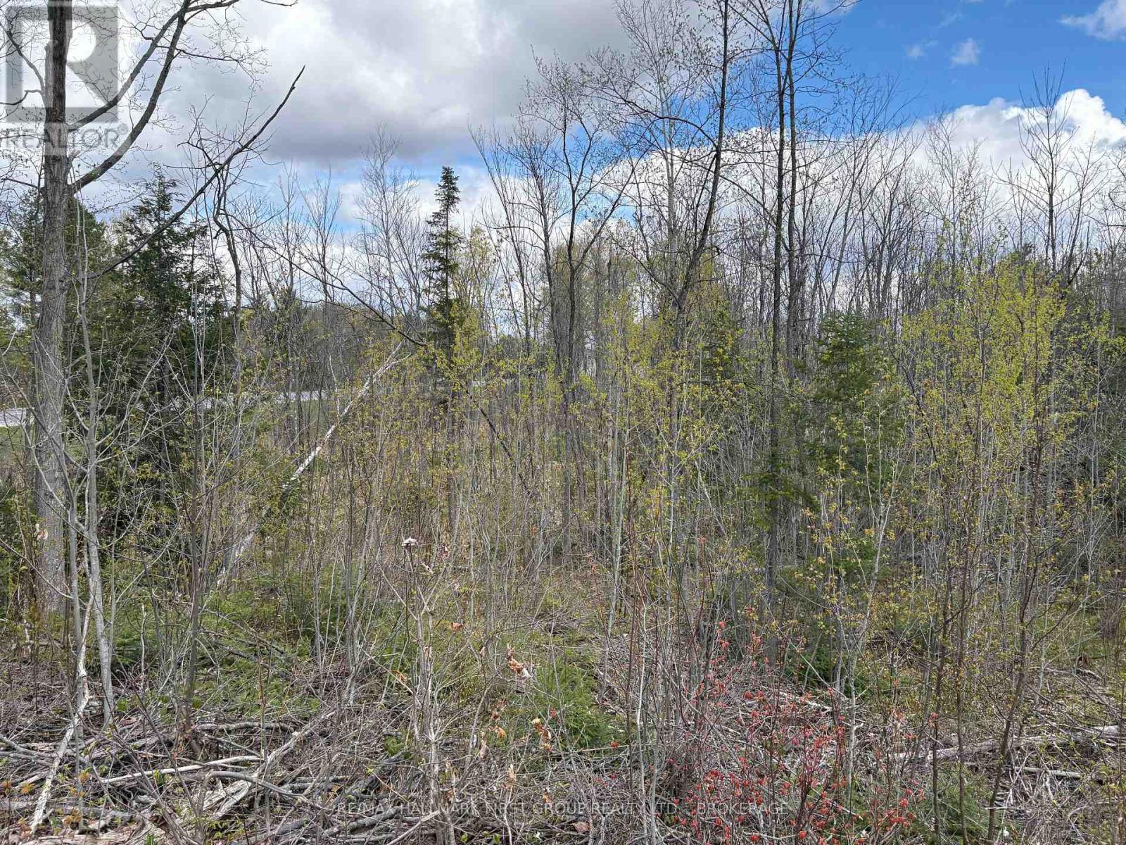 Lot 0 County Road 38 Property Photo 24