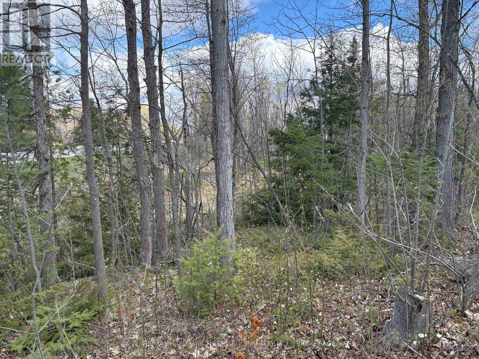 Lot 0 County Road 38 Property Photo 25