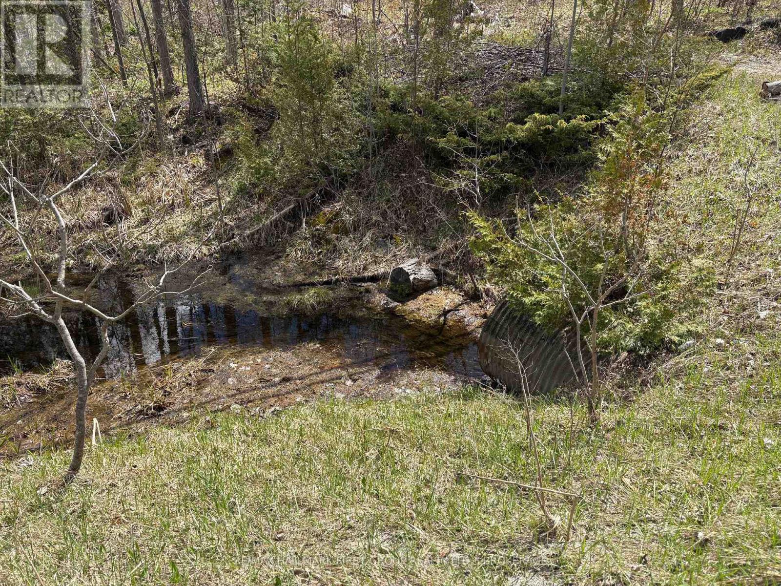 Lot 0 County Road 38 Property Photo 28