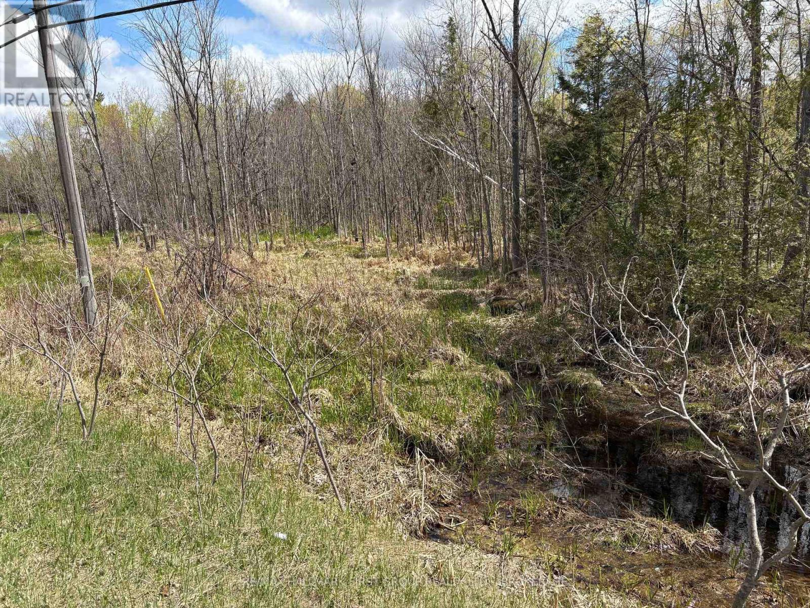 Lot 0 County Road 38 Property Photo 29
