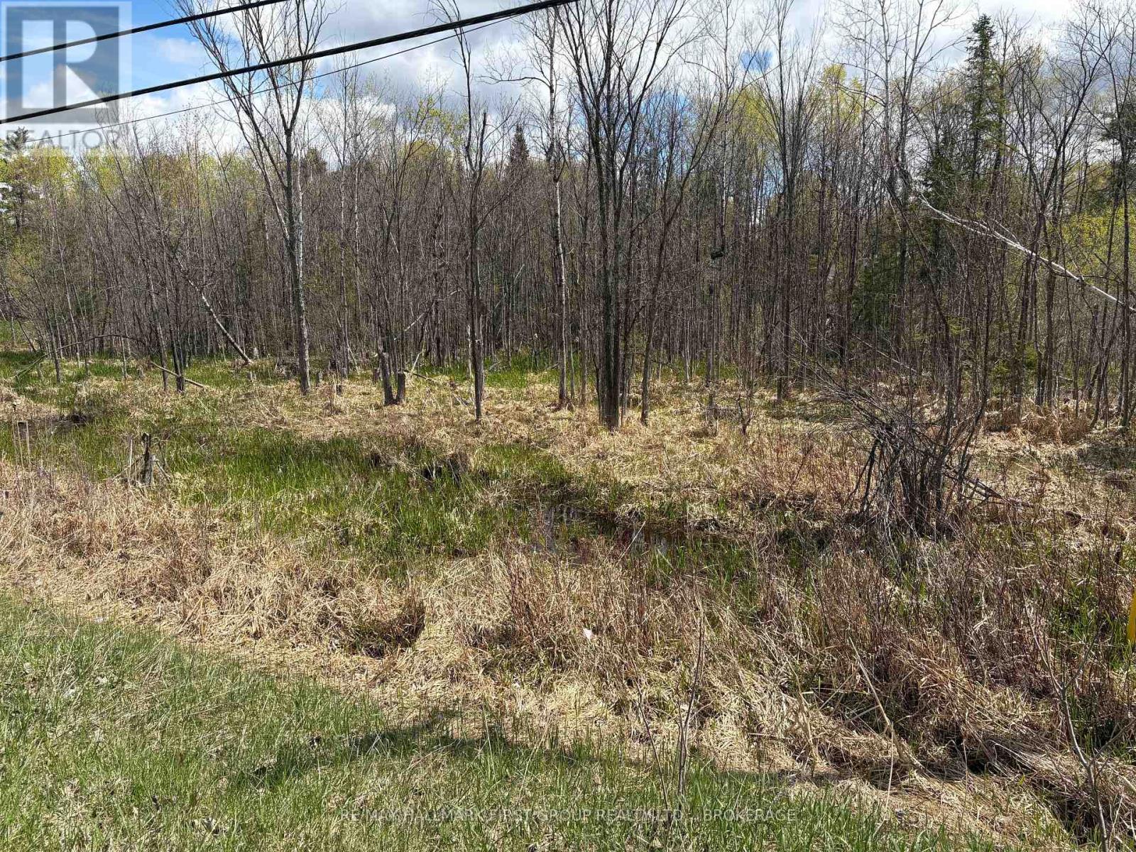 Lot 0 County Road 38 Property Photo 30