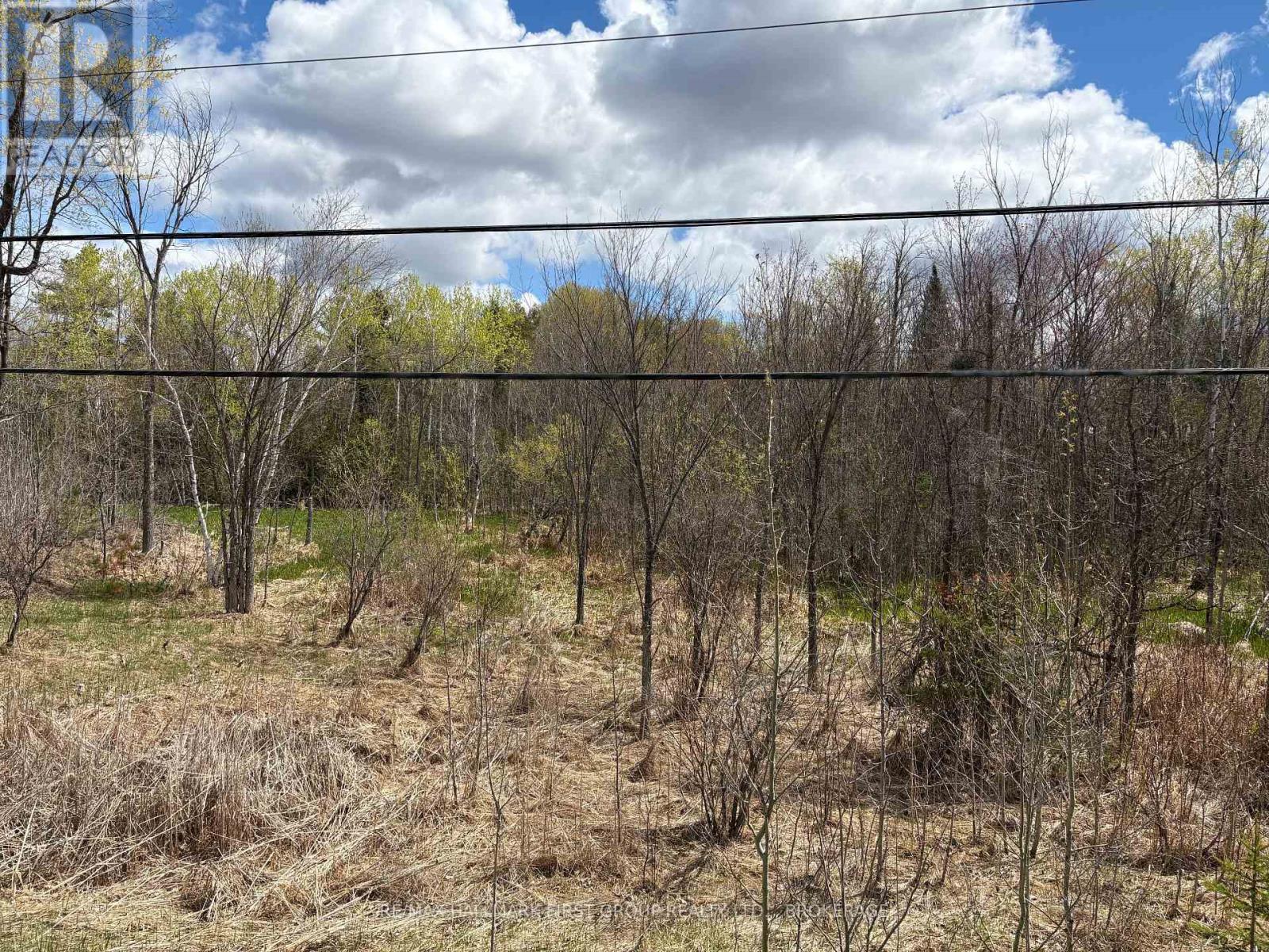 Lot 0 County Road 38 Property Photo 32