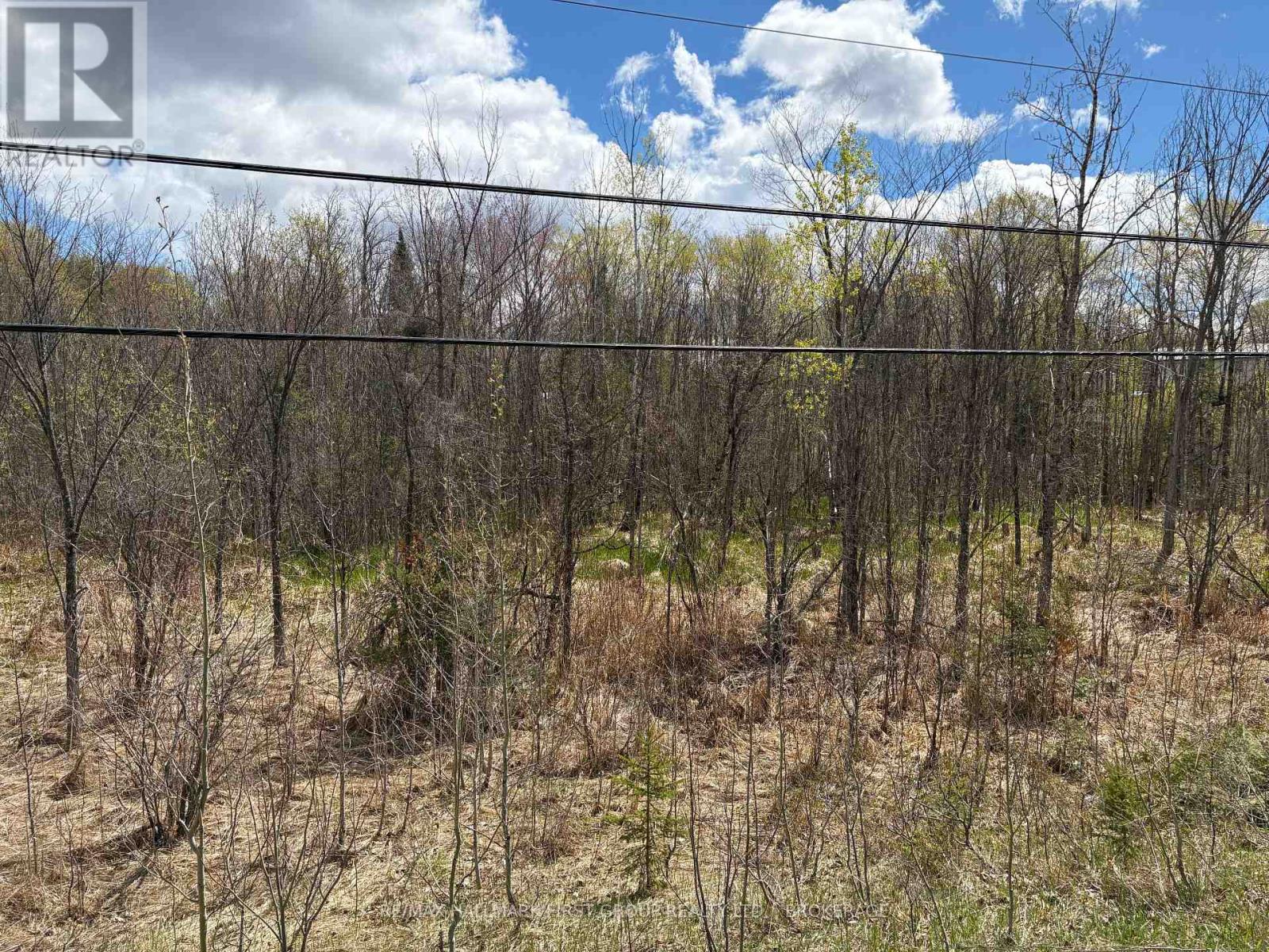Lot 0 County Road 38 Property Photo 33