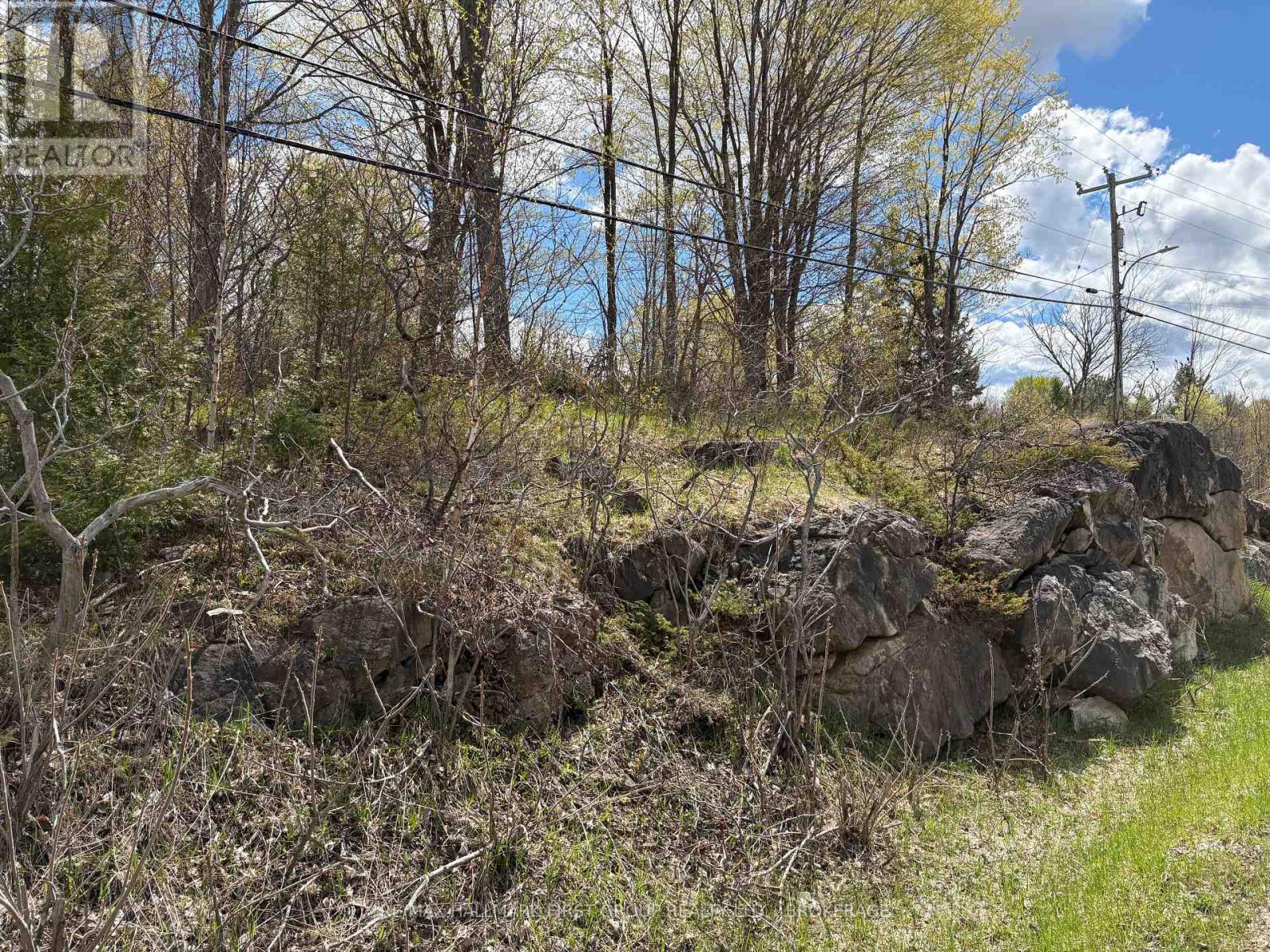 Lot 0 County Road 38 Property Photo 36
