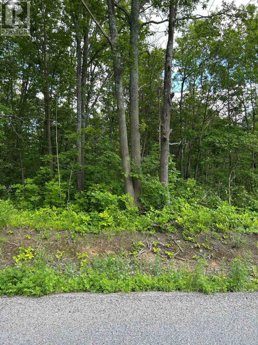 Dingman Road Property Photo 1