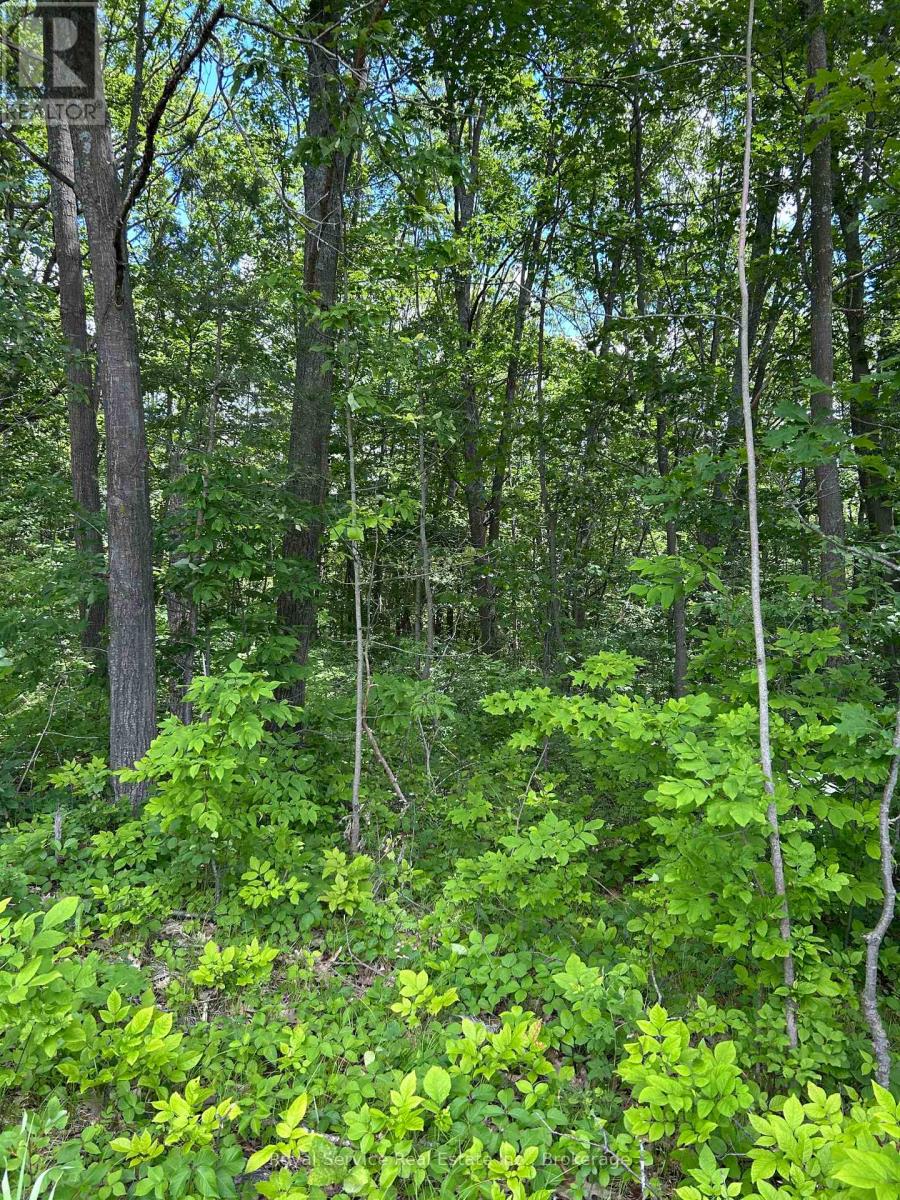 Dingman Road Property Photo 1