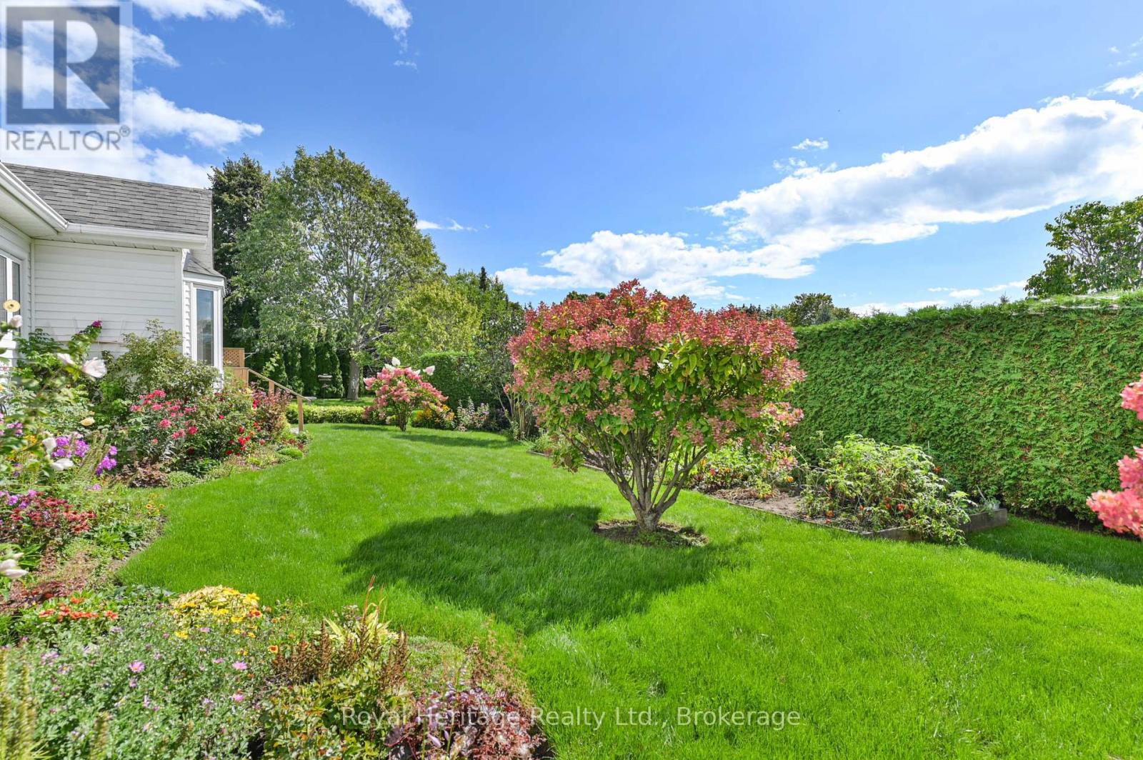 61 Mills Road Property Photo 39