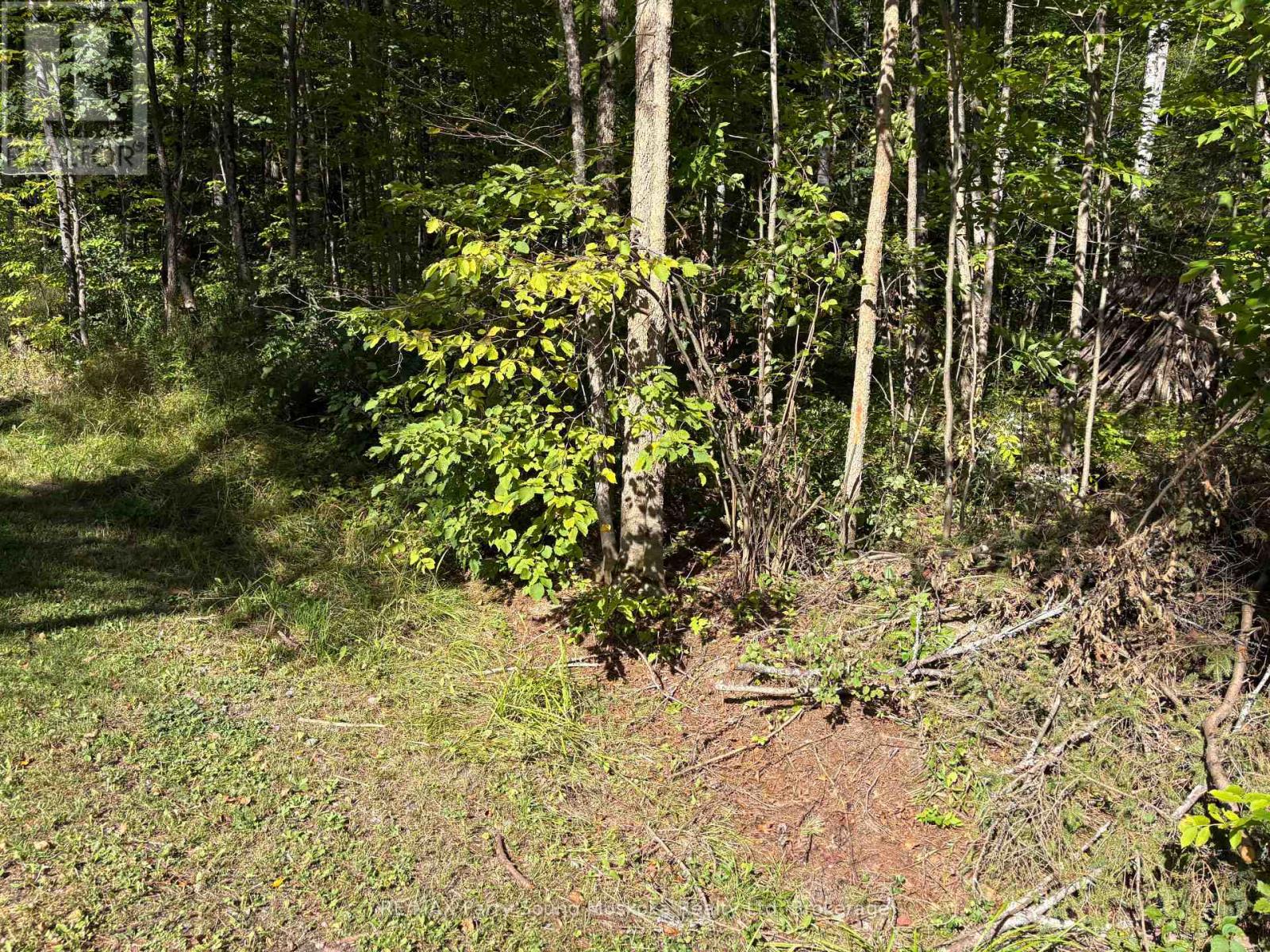 0 Pine Road Property Photo 1