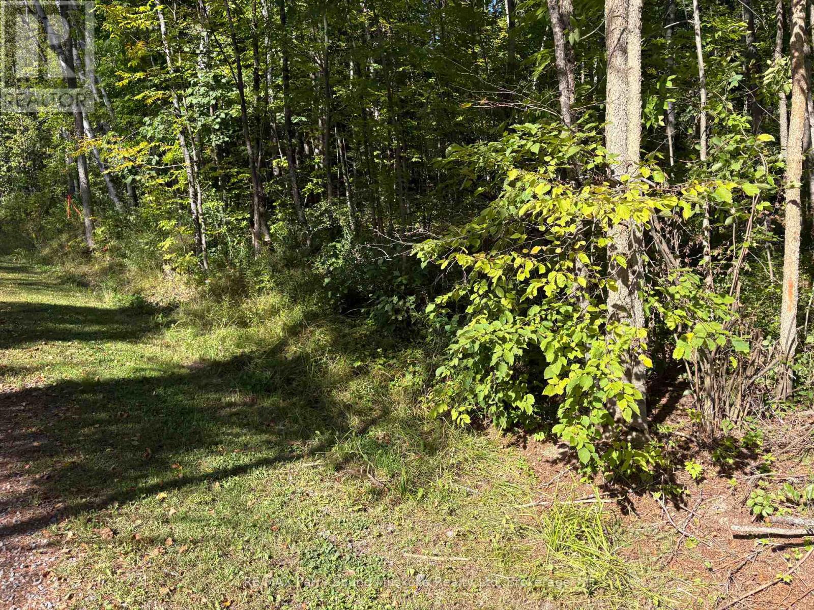 0 Pine Road Property Photo 3