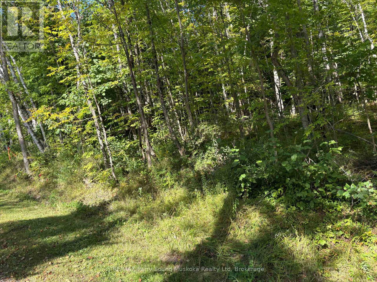 0 Pine Road Property Photo 5