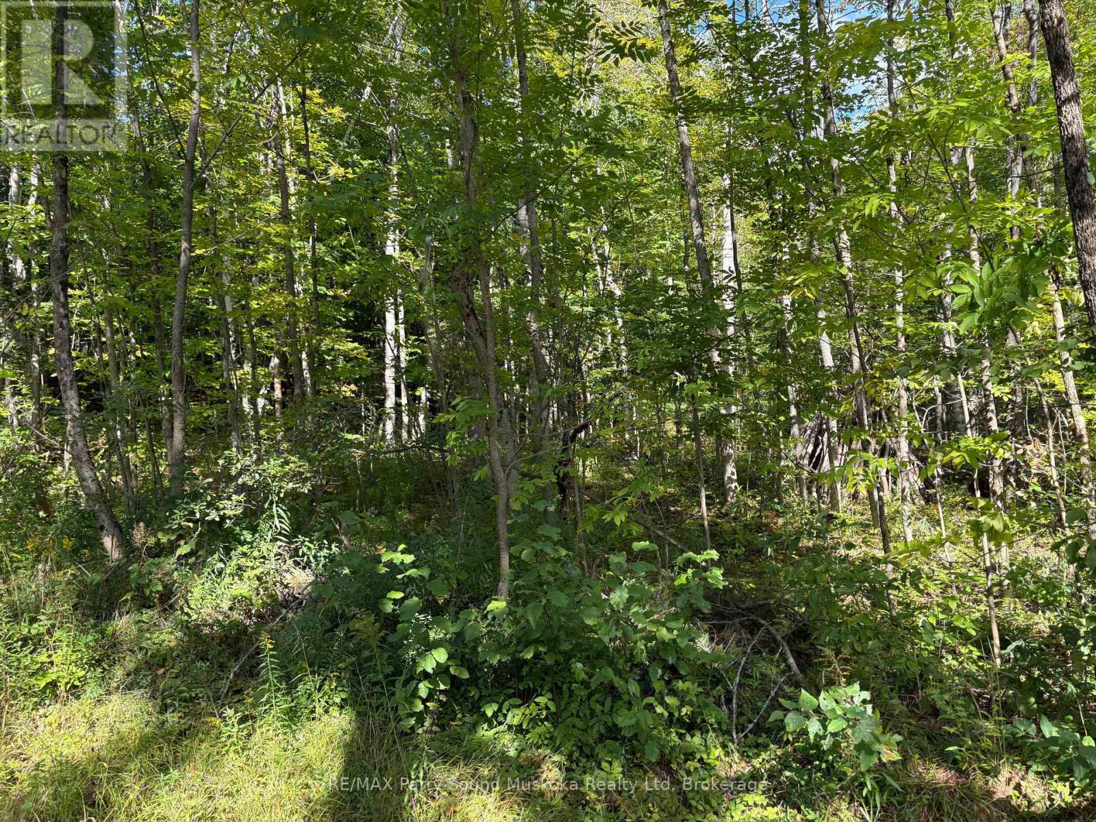 0 Pine Road Property Photo 6