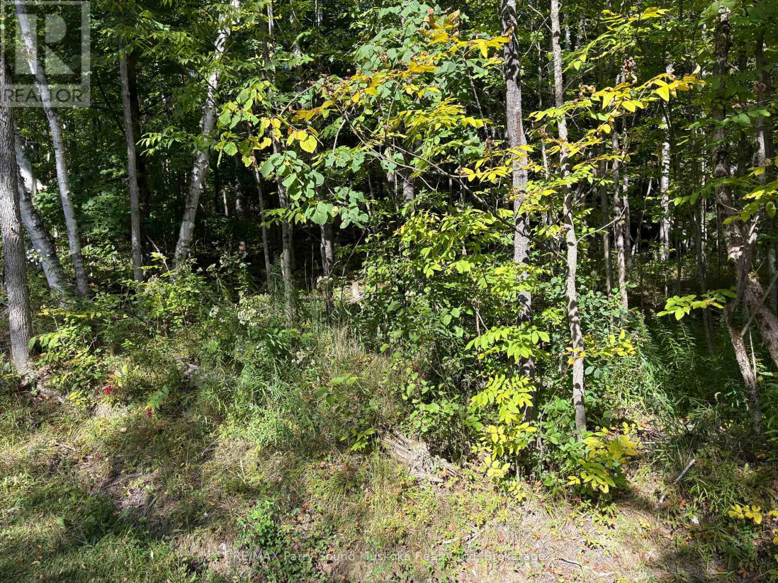 0 Pine Road Property Photo 8