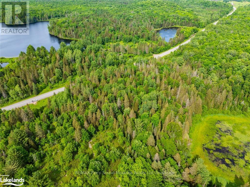 7281a Highway 124 Property Photo 5