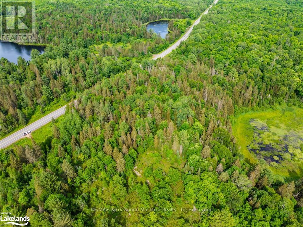 7281a Highway 124 Property Photo 6