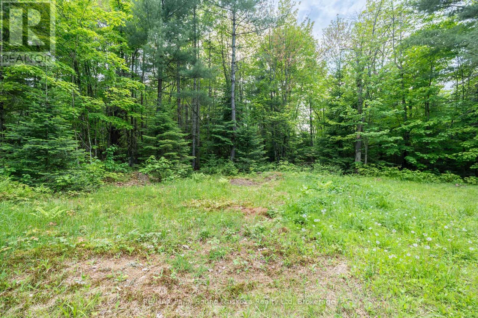141 Middle Road Property Photo 23