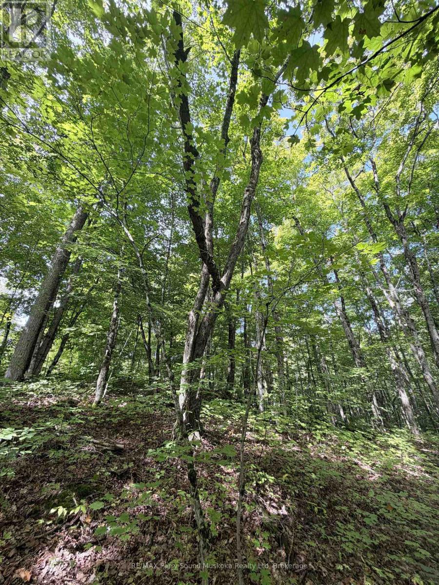 0-150 Tait's Island Road Property Photo 10
