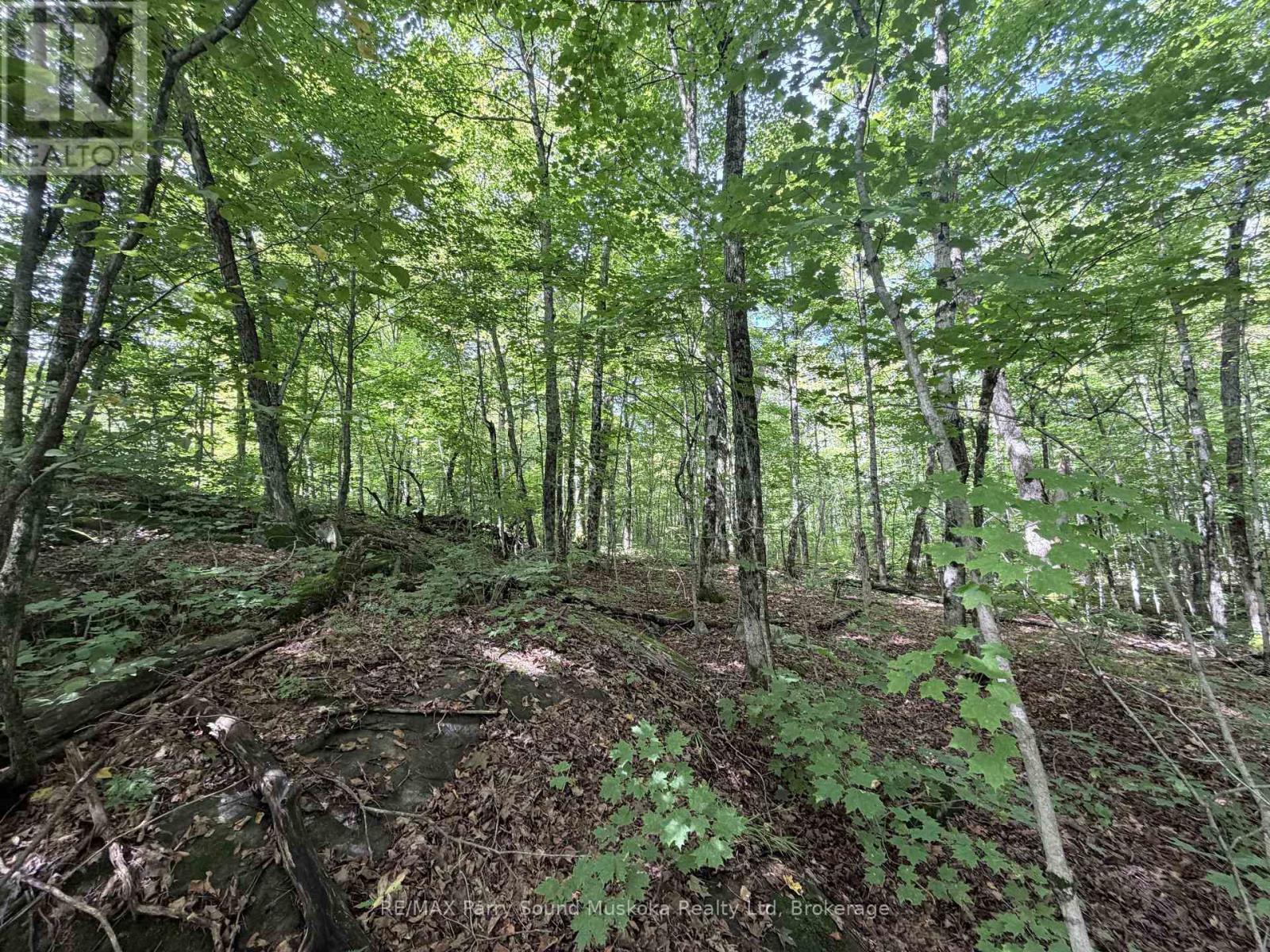 0-150 Tait's Island Road Property Photo 11