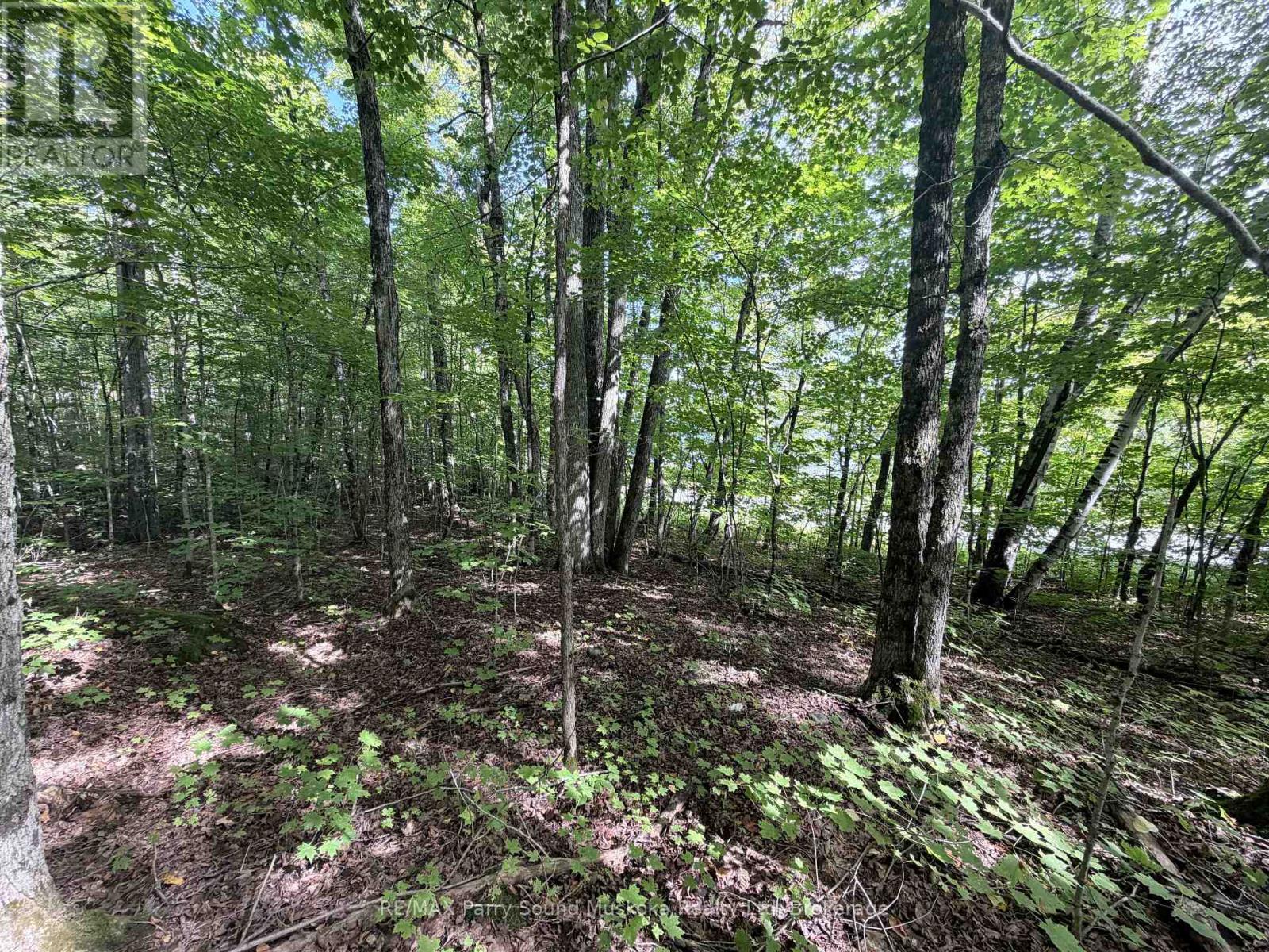 0-150 Tait's Island Road Property Photo 12