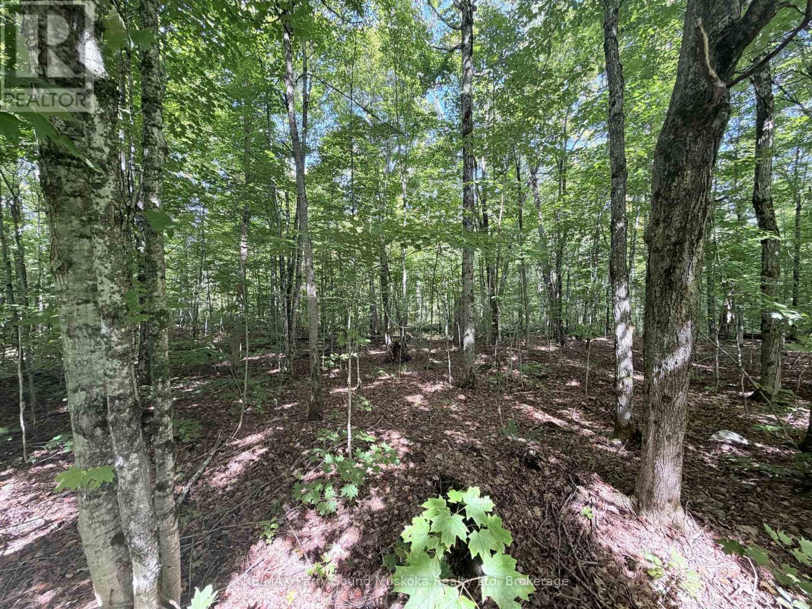 0-150 Tait's Island Road Property Photo 14