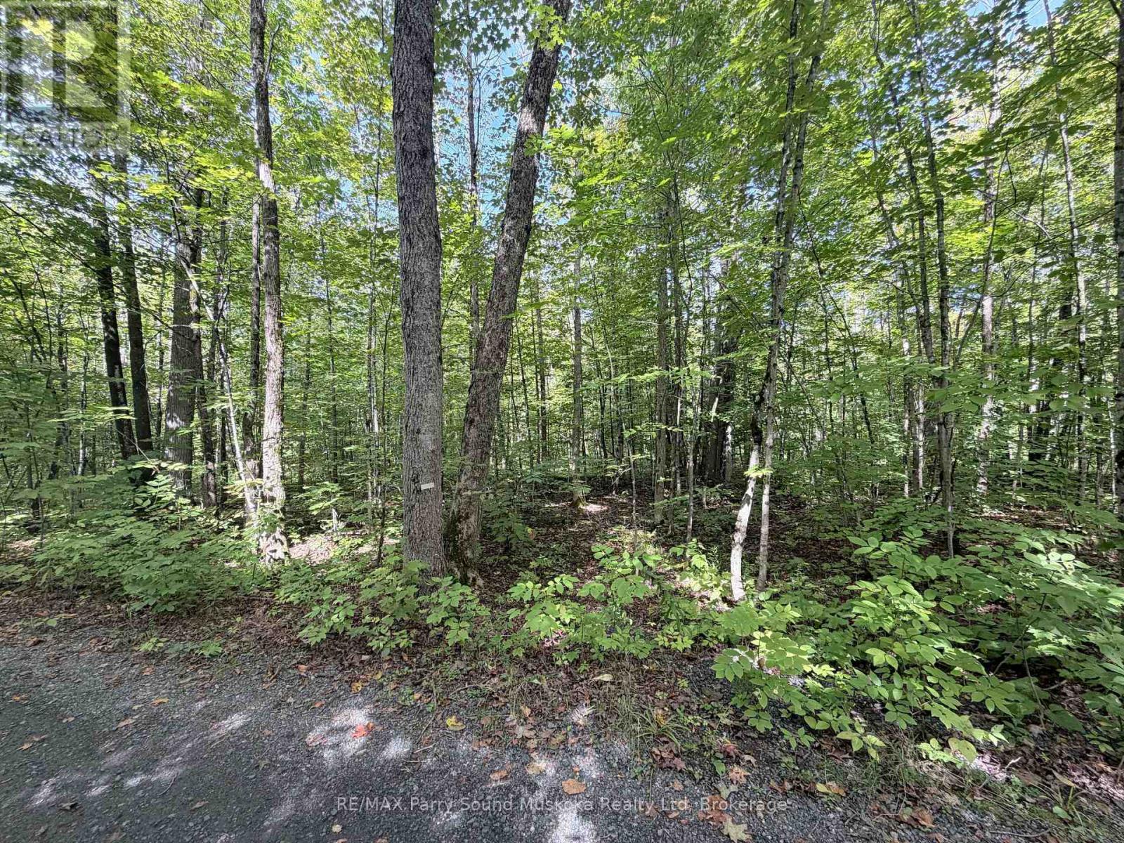 0-150 Tait's Island Road Property Photo 16