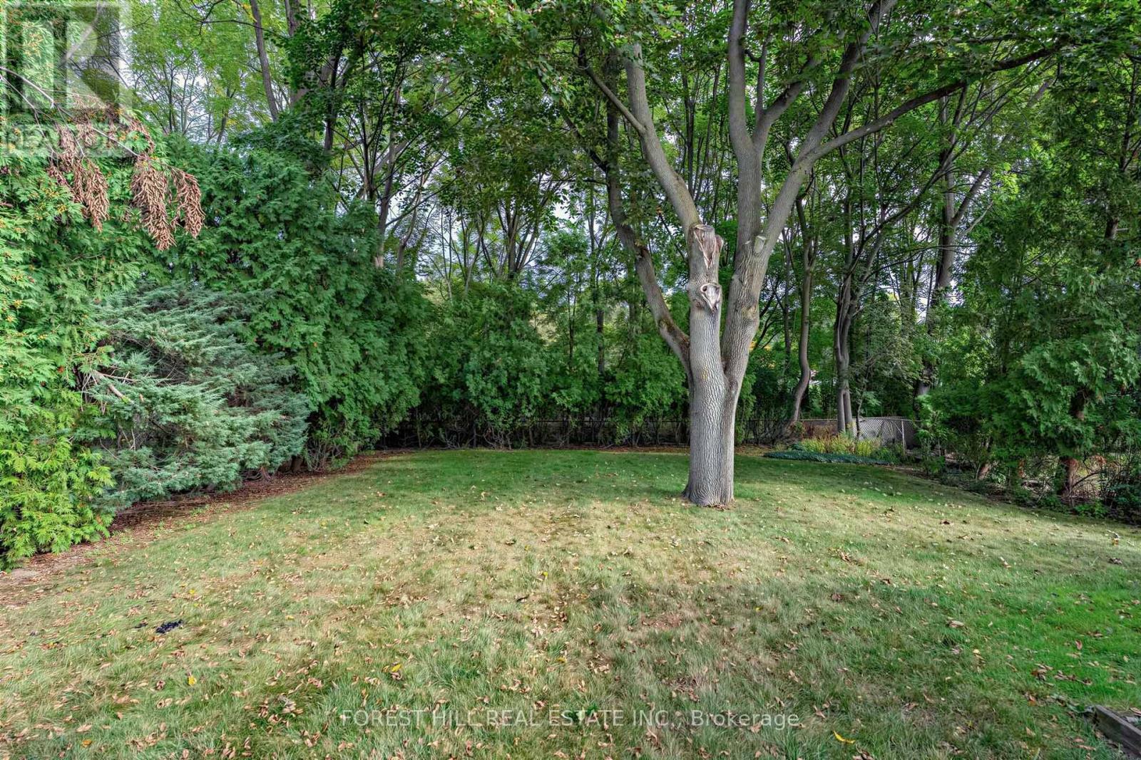 56 Little John Road Property Photo 33