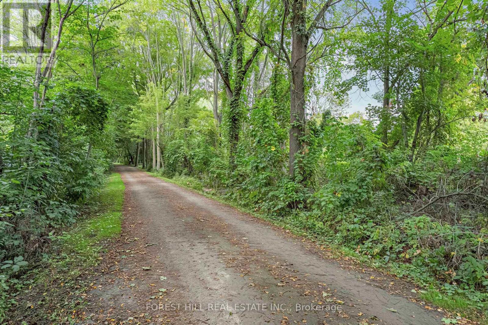56 Little John Road Property Photo 34