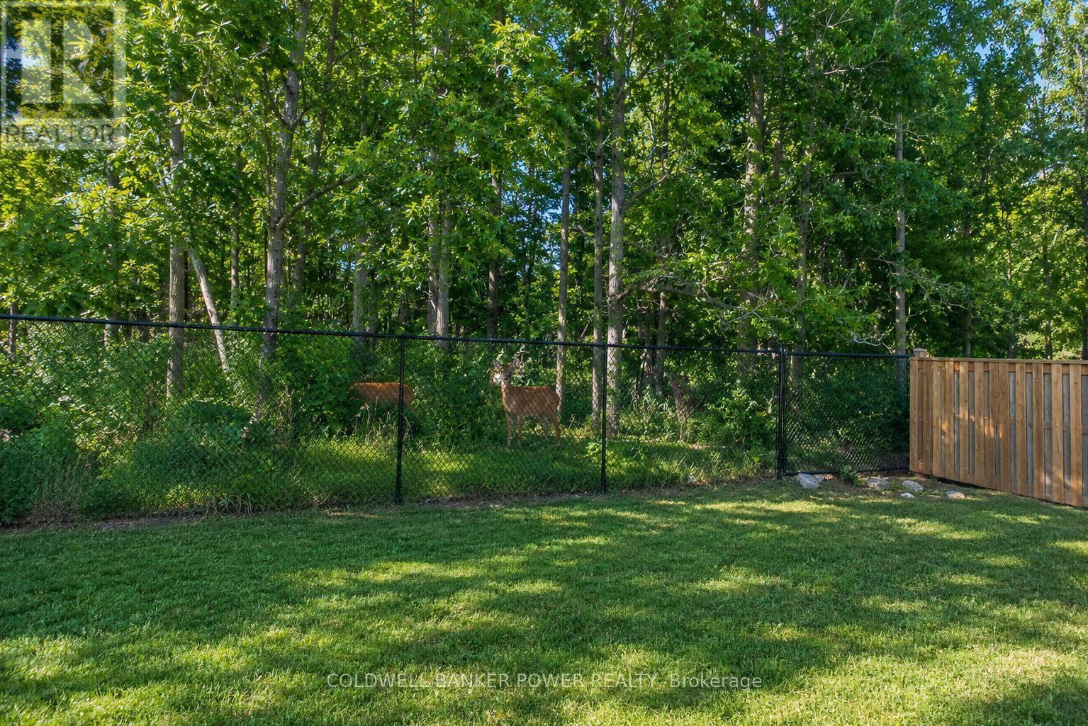2202 Tripp Drive Property Photo 43